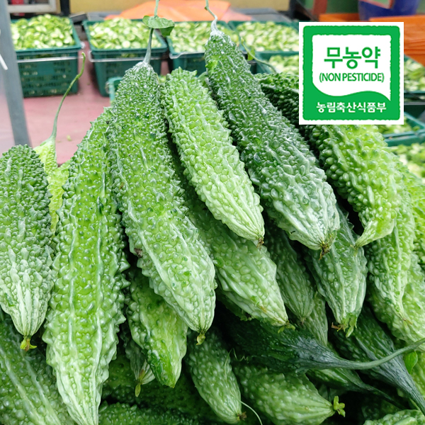 []21  ģȯ  500g/1kg	