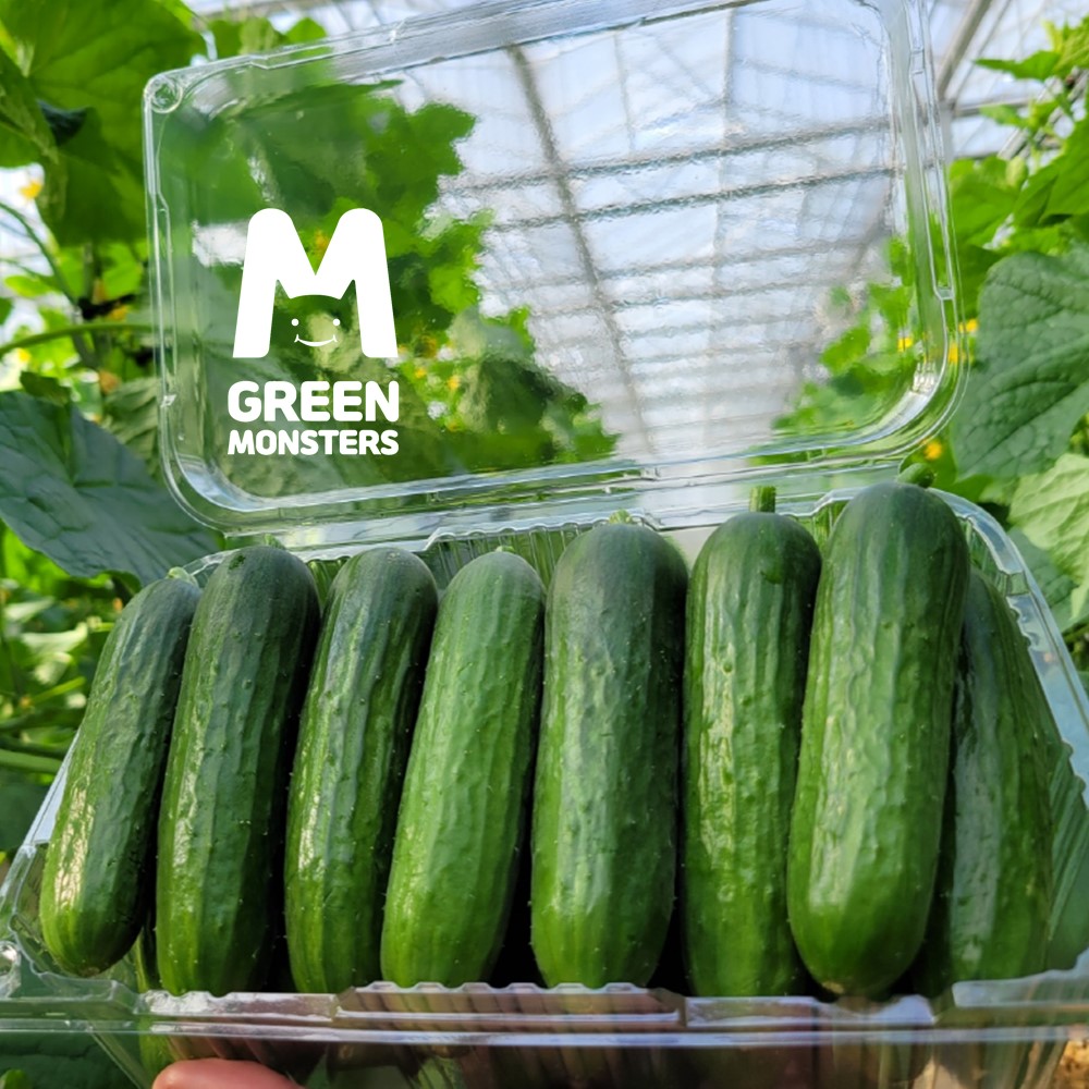 (³ó¾÷ȸ»ç¹ýÀÎ ±×¸°¸ó½ºÅÍÁî ÁÖ½Äȸ»ç) ±×¸°¸ó½ºÅÍÁî ¹Ì´Ï¿ÀÀÌ 1.5kg(20°³ ³»¿Ü) /3kg(40°³ ³»¿Ü)