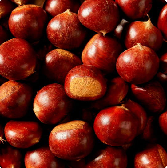 (¾Æ»êÀ²¸²¿µ³óÁ¶ÇÕ¹ýÀÎ)2025³â ȲÁ¦¹ã ¿Á±¤¹ã ´ë/Ư (2kg,4kg)