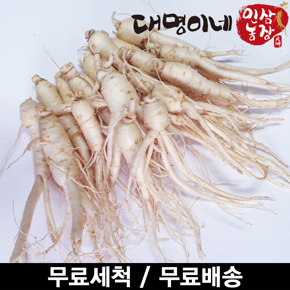 (ݻ￵չ)ݻλ ̳ 1ȸ ô ߼ 10-25Ѹ 250g