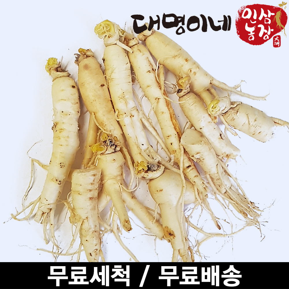 (ݻ￵չ)ݻλ ̳ 1ȸ ô Ļ  250g