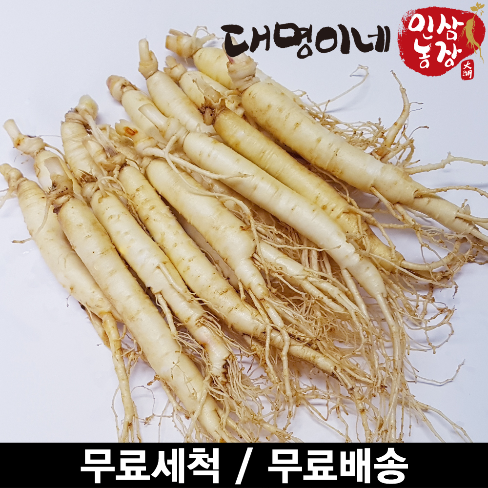 (ݻ￵չ)ݻλ ̳ 1ȸ ô  10-13Ѹ 250g