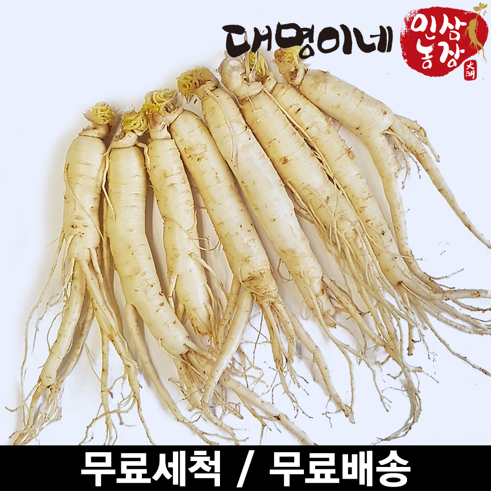 (ݻ￵չ)ݻλ ̳ 1ȸ ô  8Ѹ 250g