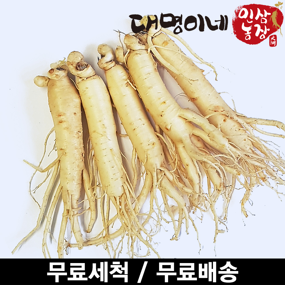 (ݻ￵չ)ݻλ ̳ 1ȸ ô  5Ѹ 250g