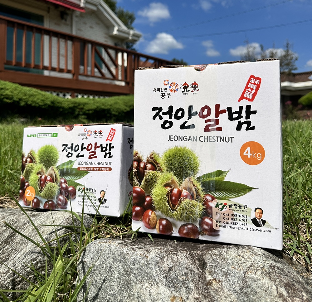 (26년 추석)(금정알밤농원) 정안알밤 특/대(4kg/8kg)