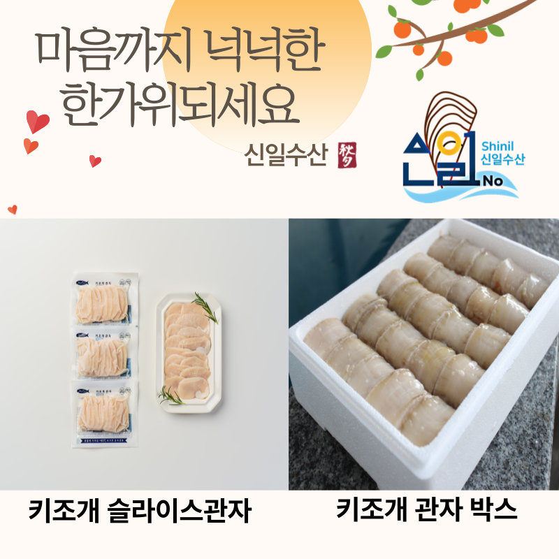 (26년 추석)(신일수산) 키조개 슬라이스관자/ 관자박스