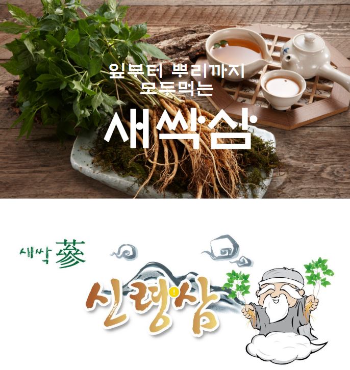 (26년 추석)(신령삼) 장수삼대