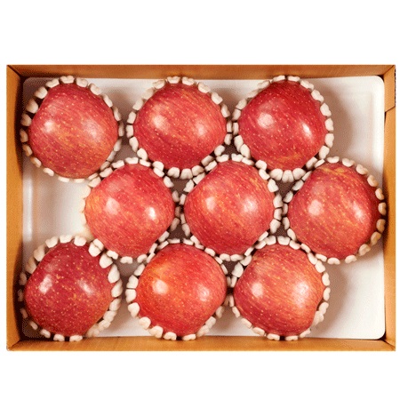 (26�� ��)(�����ĸӽ�) ����Ȳ���� 2kg