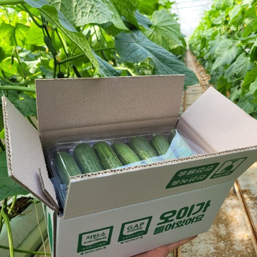 (26�� ��)(���ȸ����� �׸������� �ֽ�ȸ��) �׸������� �̴Ͽ��� 1.5kg/3kg