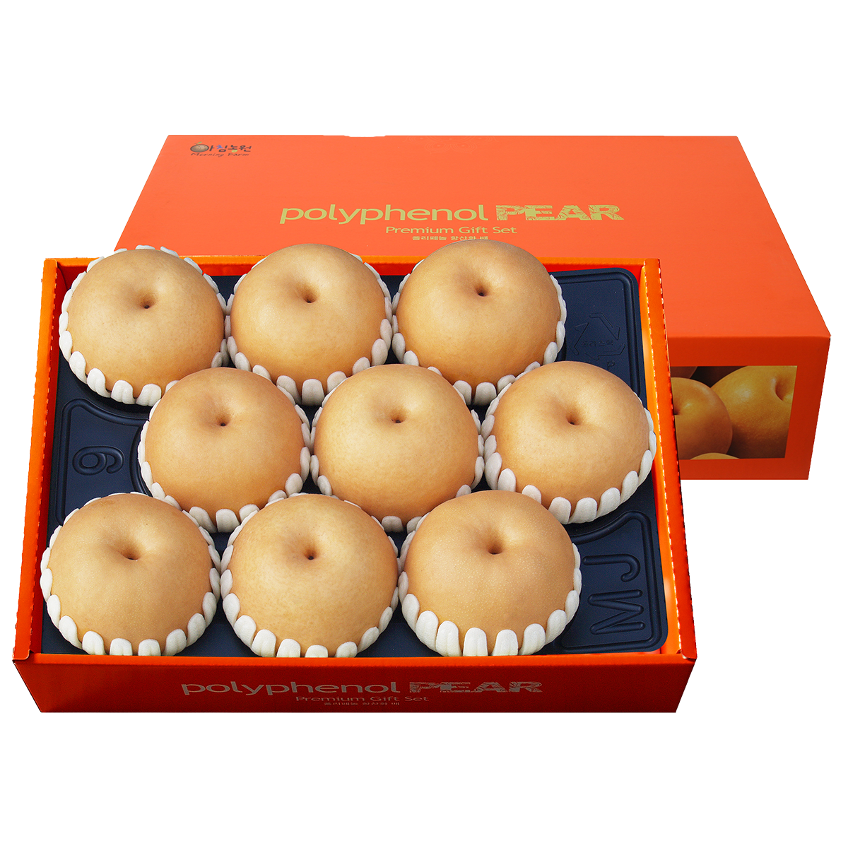 (26�� ��)(��ħ���) ��ħ�����1ȣ 6.2kg (6~9��)