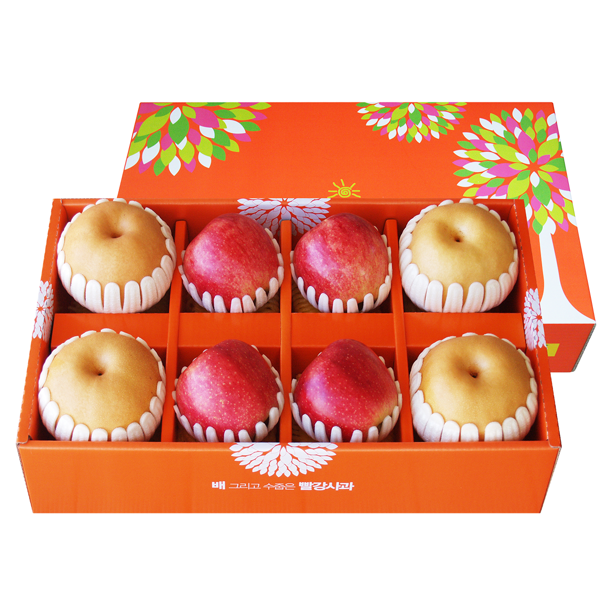 (26�� ��)(��ħ���) ��ħ���ȥ�� 3ȣ 4.5kg (��4+���4)