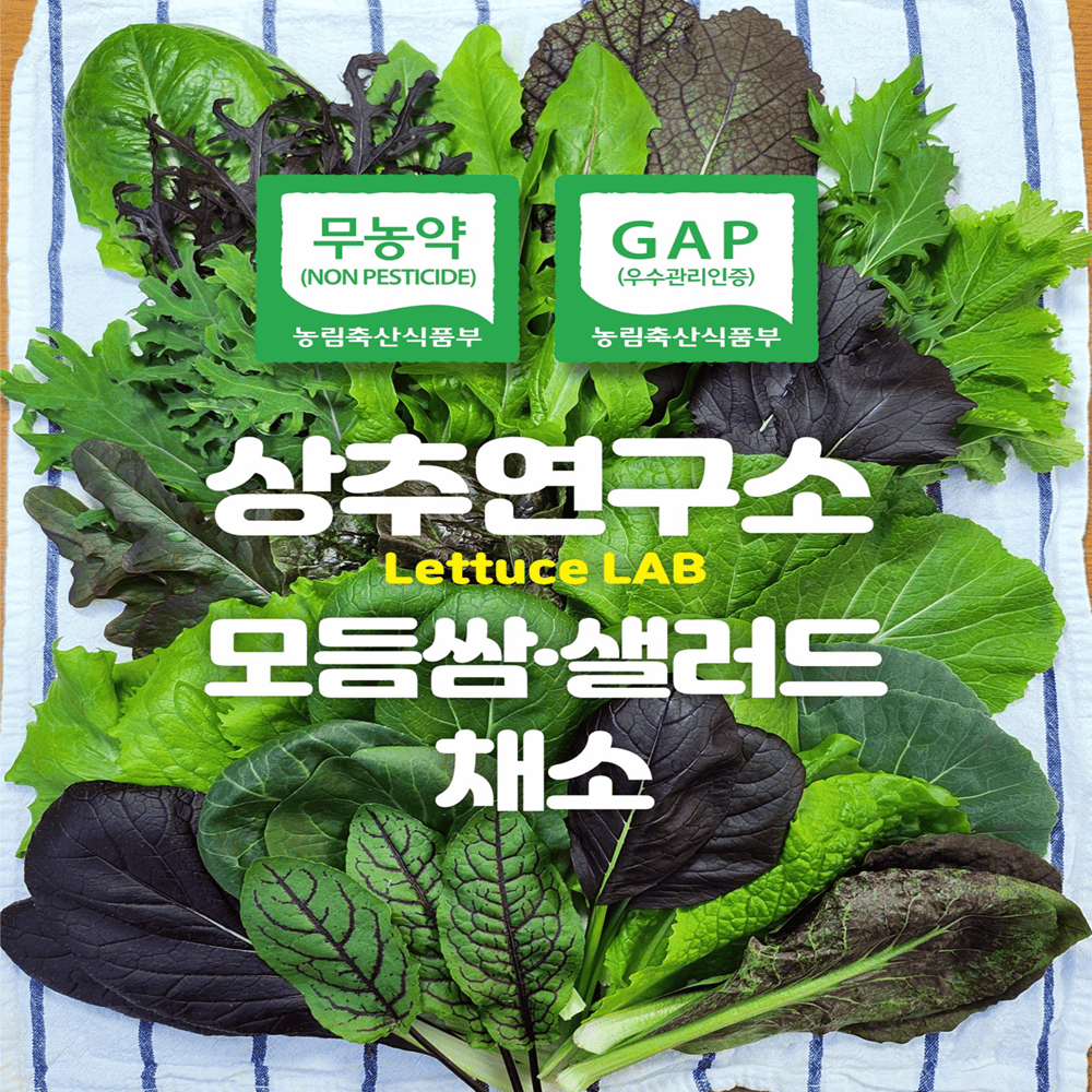 (26�� ��)(���߿�����)����Ʈ�� ����� ���ӻ�����ä��(600g/1kg)