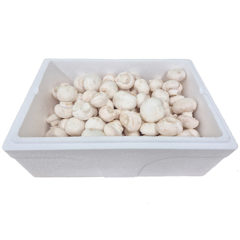 (26�� ��)(���ȸ����θӽ��׷�(��)) ����̹��� ������