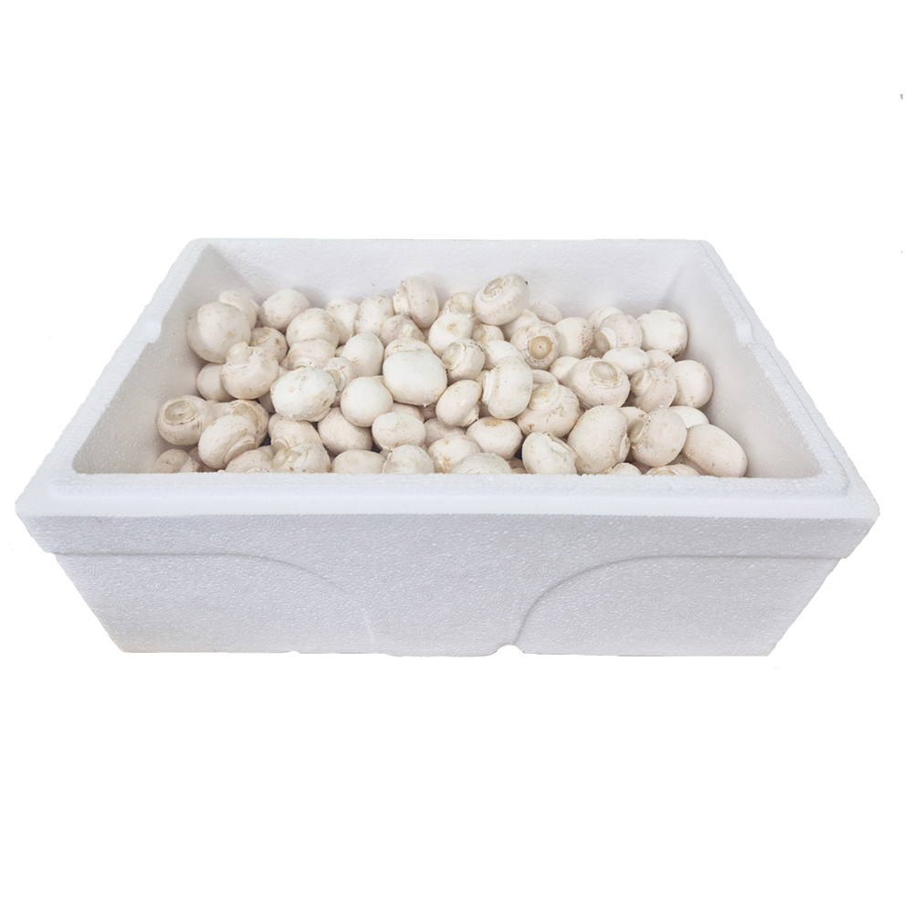 (26�� ��)(���ȸ����θӽ��׷�(��)) ����̹��� ���ٸ�