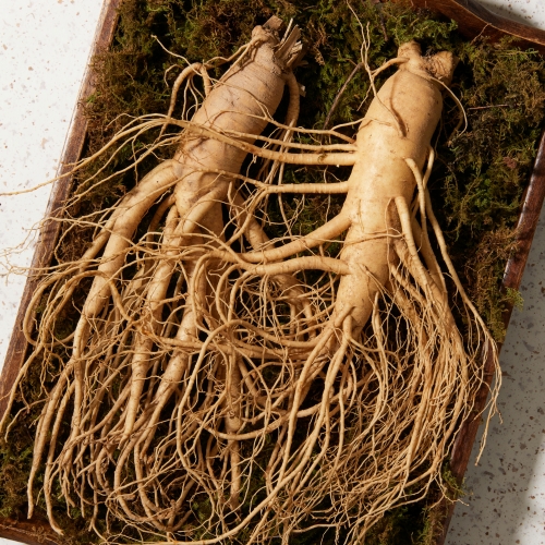 (26�� ��)(����λ￵�����չ���) ���̽��� �̽��� �λＱ����Ʈ (2ȣ/1ȣ)