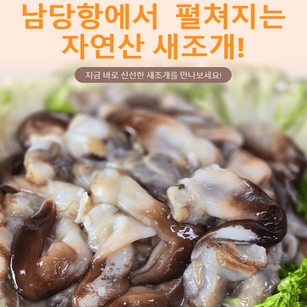 (26�� ��)(Ǫ���ٴ�) �����׻����� 1~2�κ�  