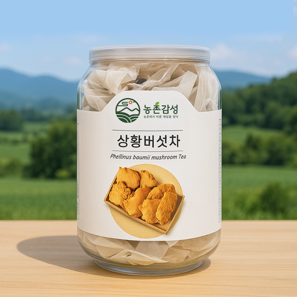 (26년 희망드림)(하진이네 버섯뜰에(정담)) 상황버섯차