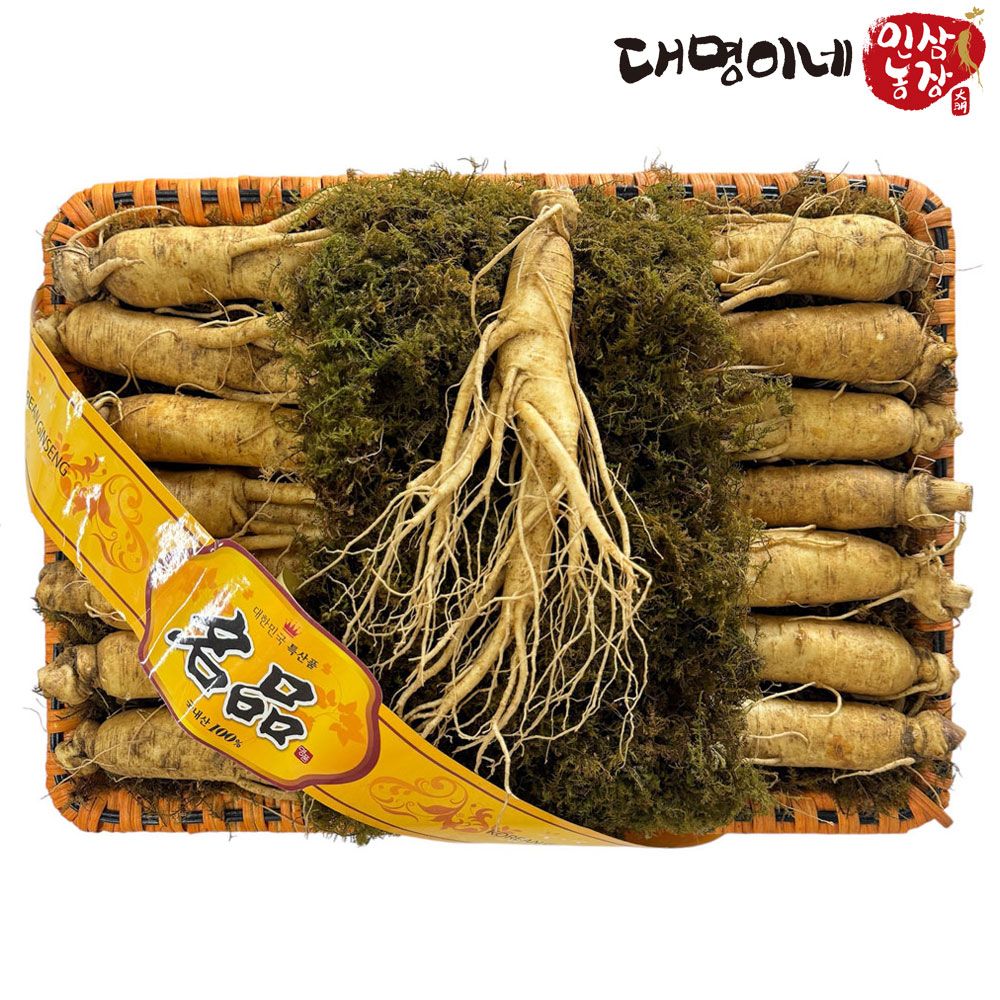 (25 ߼)(ݻ￵չ) Ư2ä Ʈ1.5kg(14~15Ѹ)