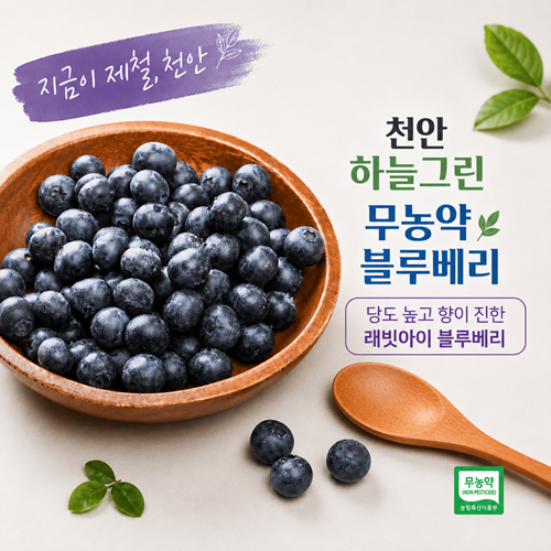 [��������ö, õ��]�ϴñ׸� ����� ���纣�� (350g) 