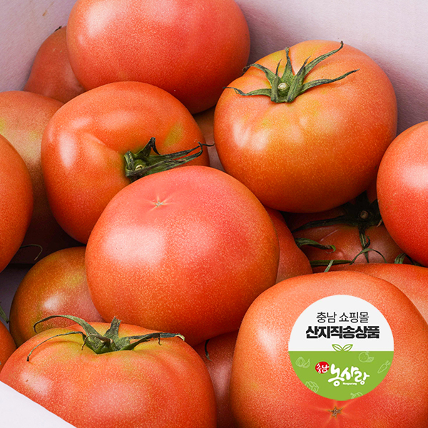(22일부터 순차발송) 맛풍당당 제철농산물 1-2차  [공주] 무농약 완숙토마토 5kg