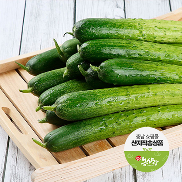 ǳ ö깰 10  [õ] ٴٱ  4Kg / 10Kg