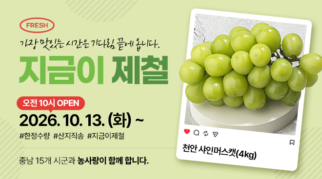 지금이 제철 10탄