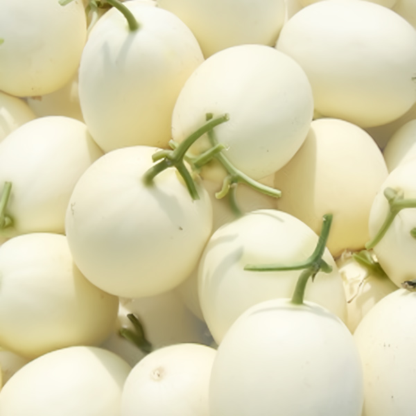 (κθг)ϴñ׸ õ Ÿ 5kg / 6.5kg / 8kg / 10kg