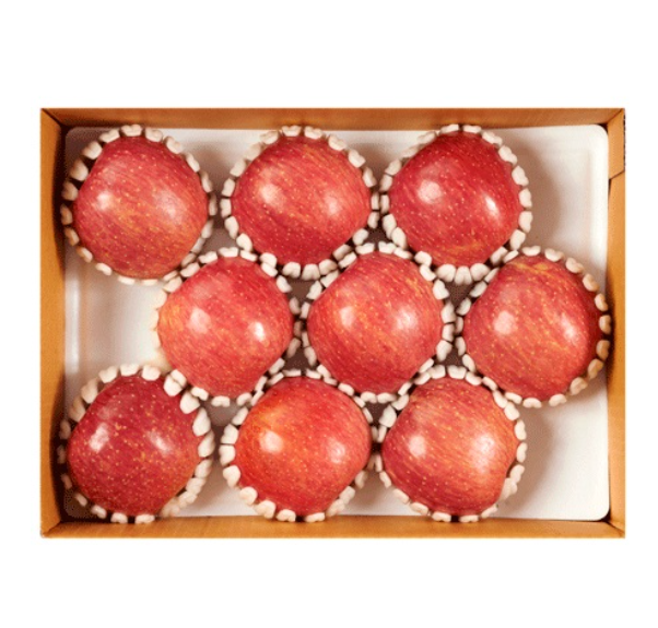 (¾ÆÀÌÆÄ¸Ó½º) 24³â ¿¹»êȲÅä»ç°ú 2kg (6-8°ú)