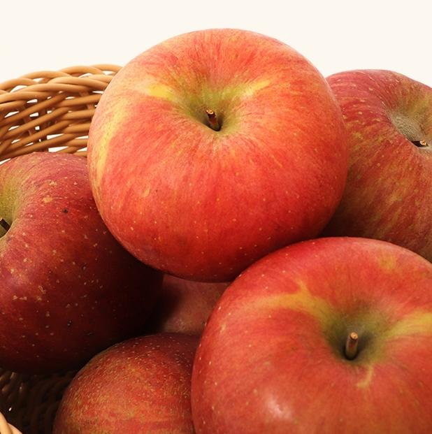 (���ٳ������) ��� 5kg/10kg