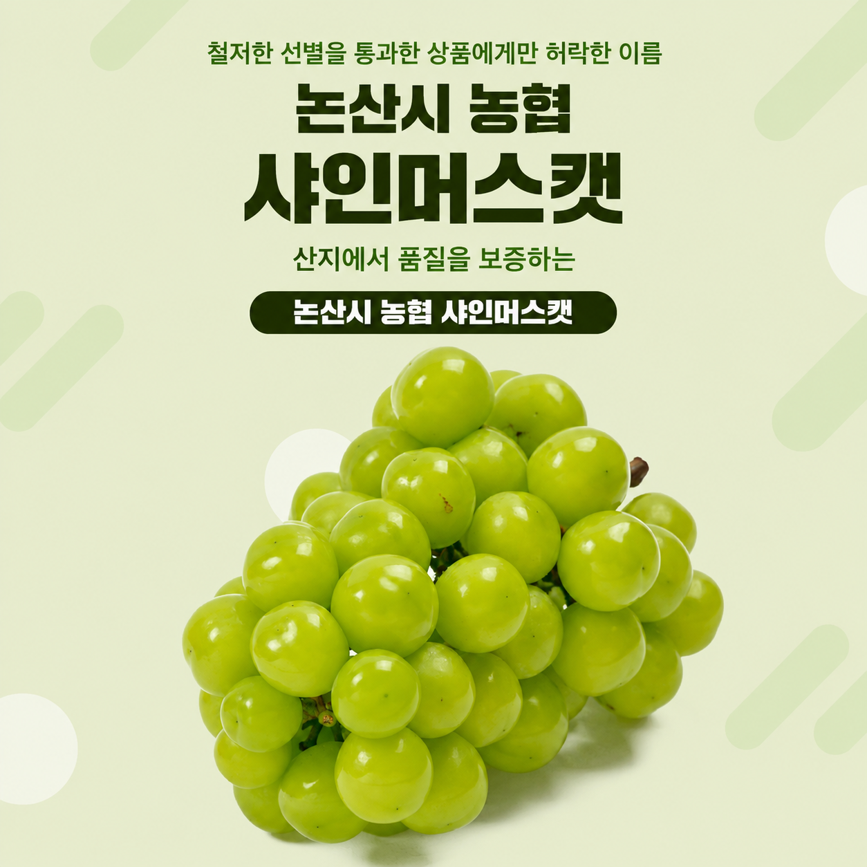 (논산시농협조합공동사업법인) 샤인머스캣 (2kg)