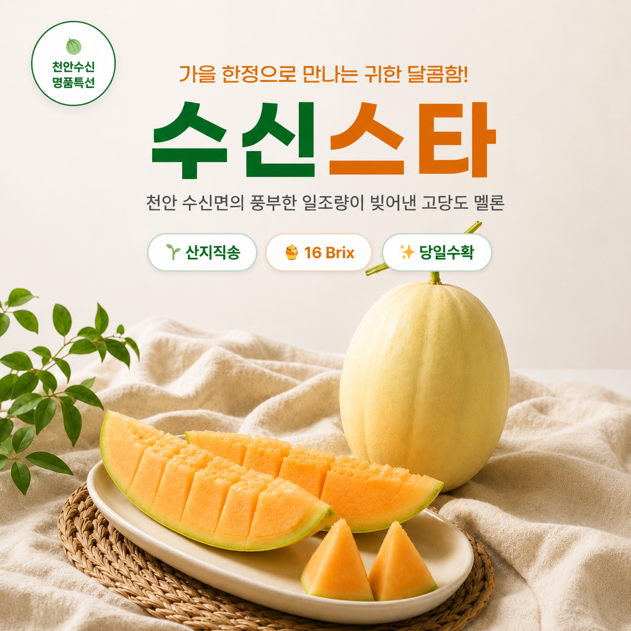 (천사멜론) 수신스타멜론 (4kg/5kg/8kg/10kg)