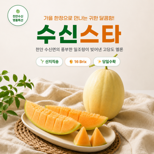 (천사멜론) 수신스타멜론 (4kg/5kg/8kg/10kg)