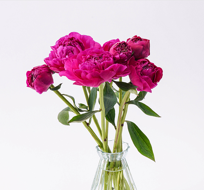 ��ǰ�̹���