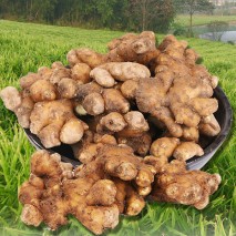 [�μ�����]�޻��� 2kg/4kg