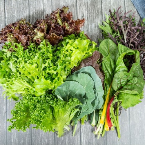 (°¡µæÆÊ)¸ðµë½Óä¼Ò 800g/¸ðµë»ø·¯µå 800g