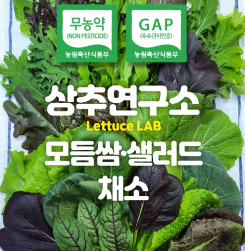 (���߿�����)����Ʈ�� ����� ���ӻ�����ä��1kg