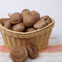 ���ϵ��� /����/ ��ǥ������/1kg, 3kg