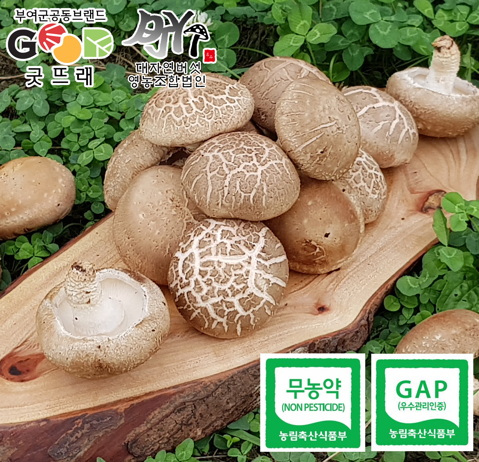 (ڿչ)ǥ Ʈ 250g x 4, 250g x 8, ƯƮ