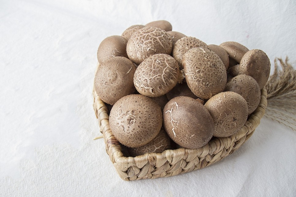 (ºÒ¿øÇ¥°í) »ýÇ¥°í¹ö¼¸ 1Kg (½Ç¼Ó/Áßǰ/»óǰ)