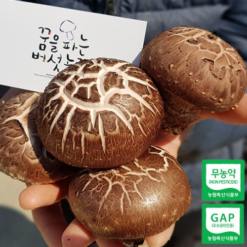 (²ÞÀ»ÆÄ´Â¹ö¼¸³óÀå)²ÞÀ»Ç°Àº ģȯ°æ Ç¥°í¹ö¼¸ 500g / 1kg