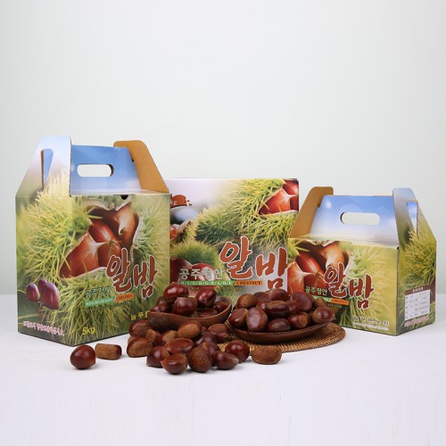 (ѳε鿵չ)Ǫ  24 ޹   ˹ /Ư (3kg/5kg)