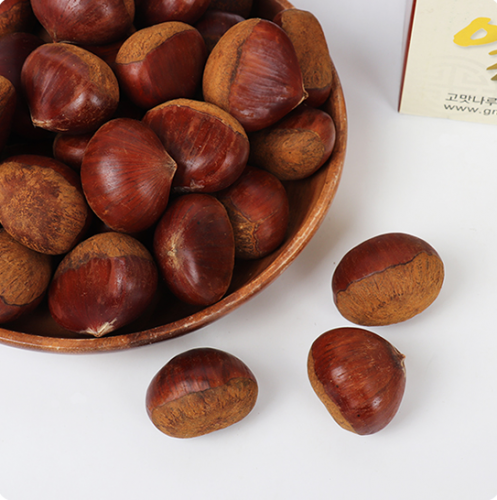 (ȭ)Ⱦ˹(2kg/4kg/8kg/10kg /Ư)