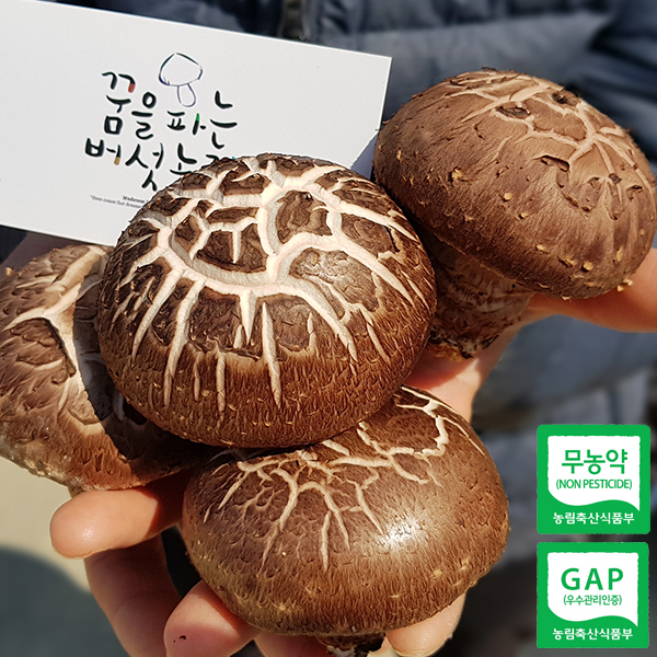 (Ĵ¹)ǰ ģȯ ǥ 500g / 1kg 