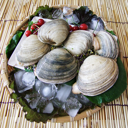 (û¾Ƚǰ) 1kg