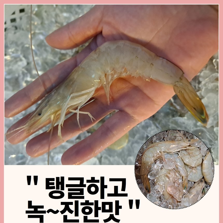 (Ǫٴ)ڿ 500g