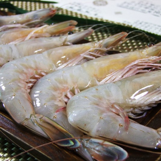(청정태안식품)청정태안 자연산대하 1kg(30미 내외/급냉) + 천일염 증정