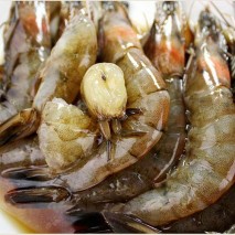 (û¾Ƚǰ)  1.3kg,3kg,3.8kg