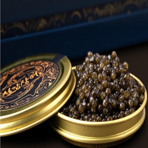 (ĥ�����ĳ���) ������ �����̾� Į�簡ĳ���(�����簡) 