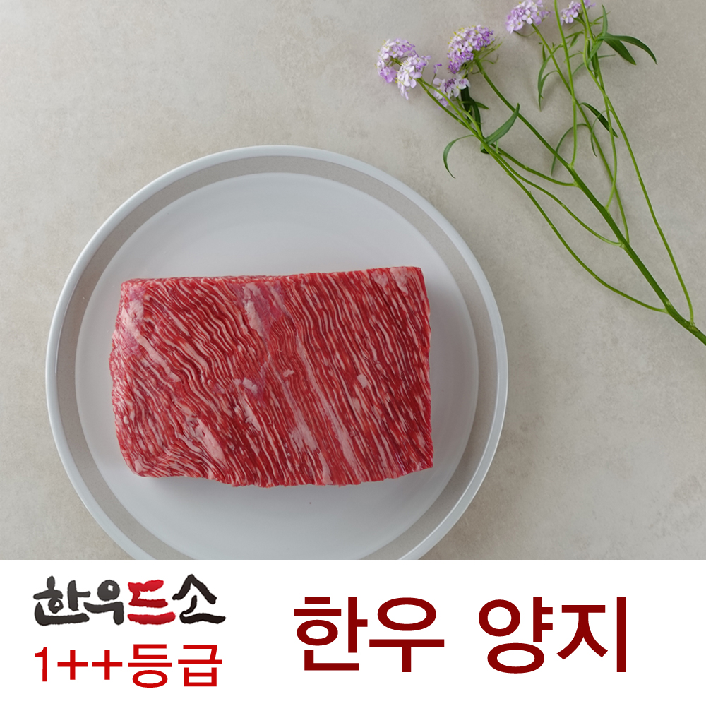 (ÇÑ¿ìµå¼Ò)1++µî±Þ ÇÑ¿ì ¾çÁö 250g (½Å¼±½ºÅ²Æ÷Àå)