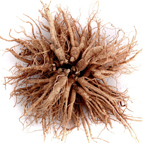 (�ݻ���￵�����չ���)��ô �����Ļ���� 35�Ѹ��̻� 750g